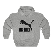 Load image into Gallery viewer, Druid - Hooded Sweatshirt